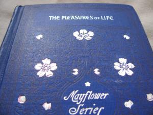Pleasures of L cvr