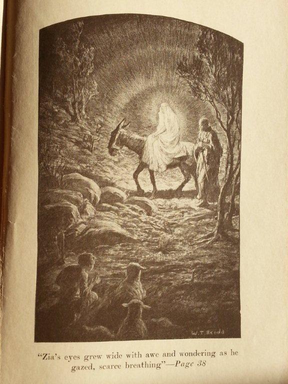 The Little Hunchback Zia