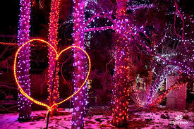 Calgary Zoo - Zoo Lights